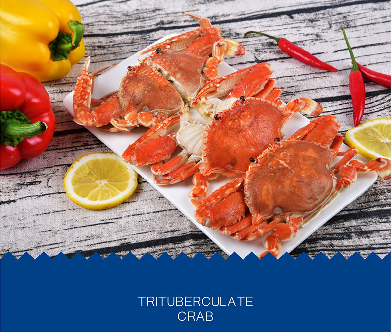 Краб-2 кот плоских крабов (1) _12.jpg