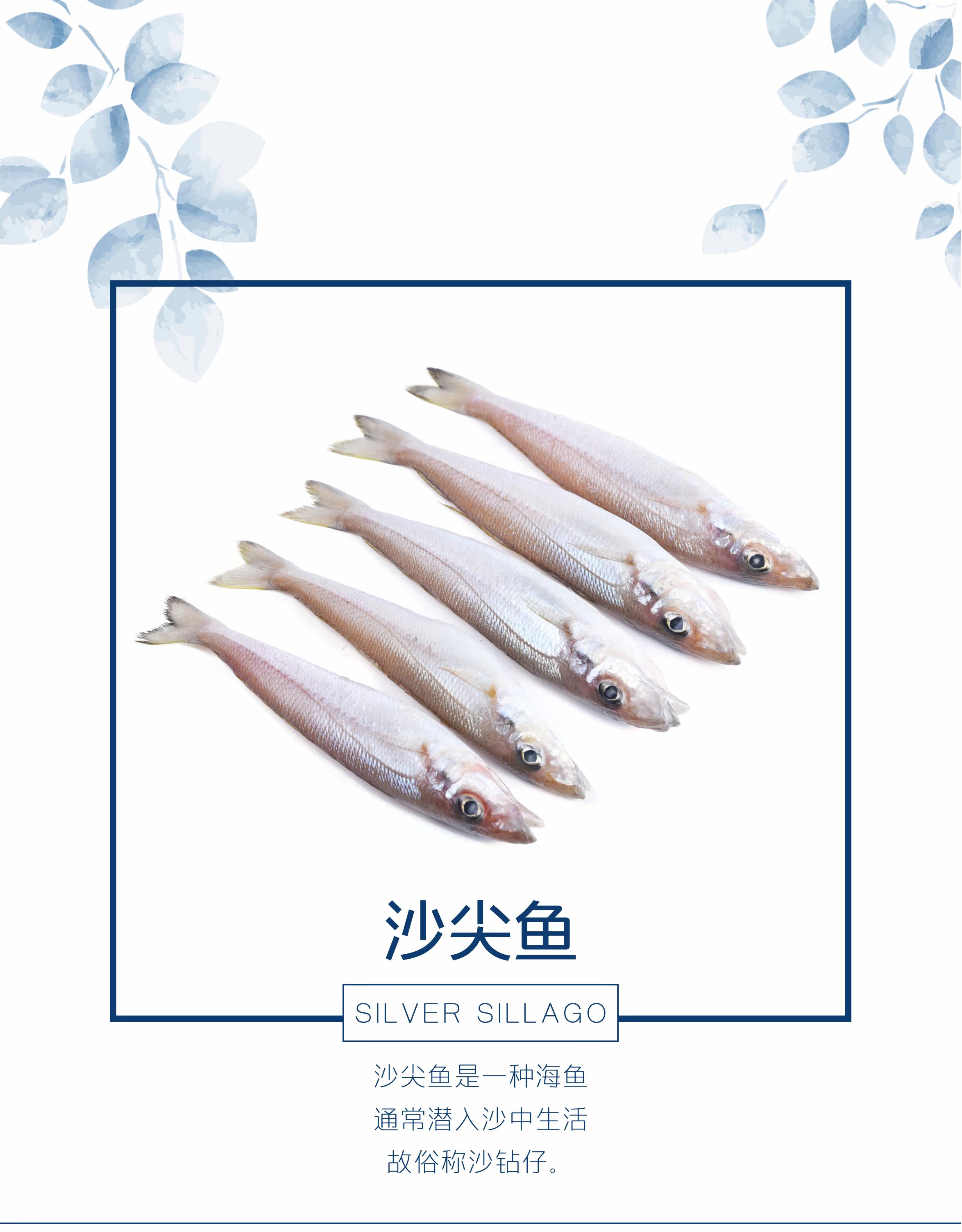 Рыба-сандрональная рыба_01.jpg