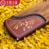 [Yuzhen Guzheng] Цзяо Йин выслушал, как профессиональная галстук Тястоте