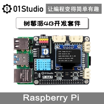 Raspberry Pi 4B Development Kit RaspberryPi4 generation python Linux Artificial intelligence development board 8g