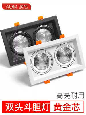 Double-headed bold light led embedded 10x20 rectangular downlight Suspended ceiling 12*24 Grille light Grape rack spotlight