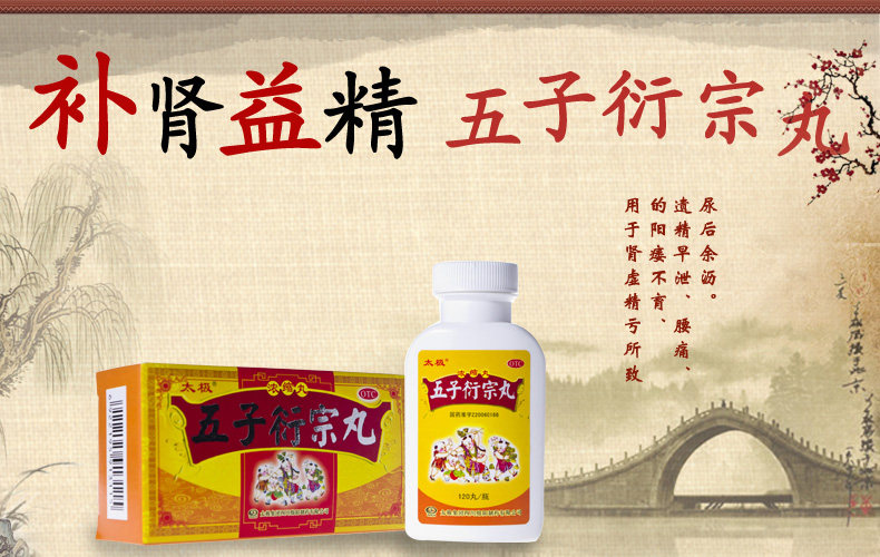 Tai Chi-Wuzi Yanzong Pill-1320 Grain_01.jpg