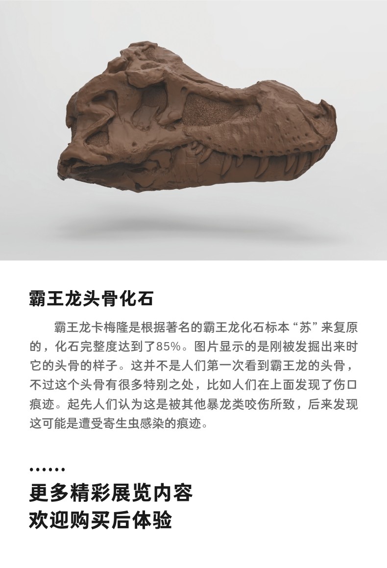 Игрушки-животные pnso新版霸王龙卡梅隆附霸王龙头骨恐龙博物馆1:35科学艺术模型
