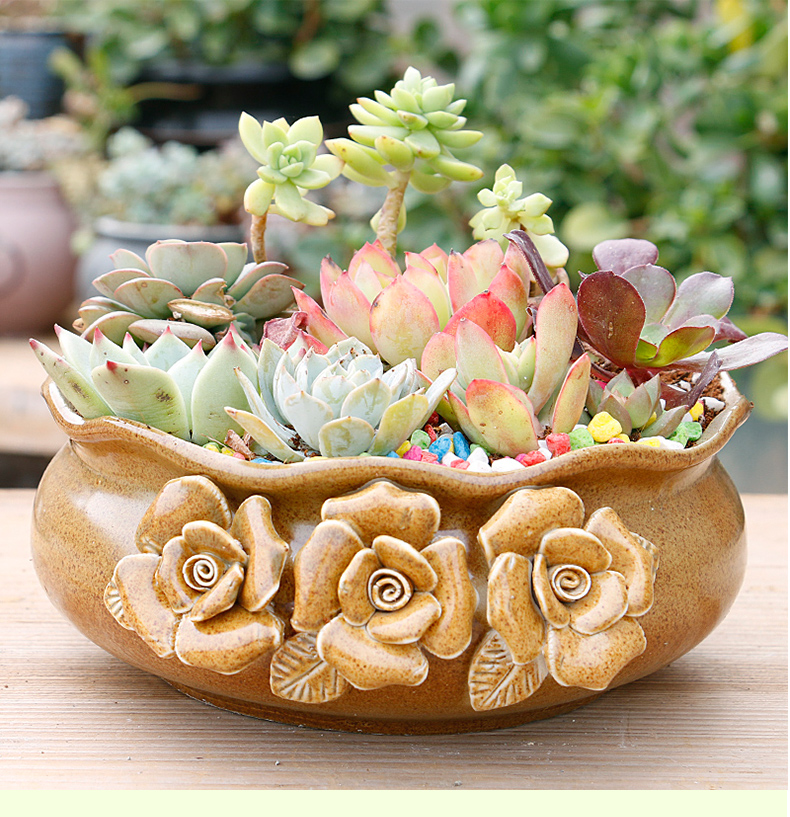 Creative fleshy flower POTS, large diameter platter is ceramic contracted character large extra large clearance meat potted the plants