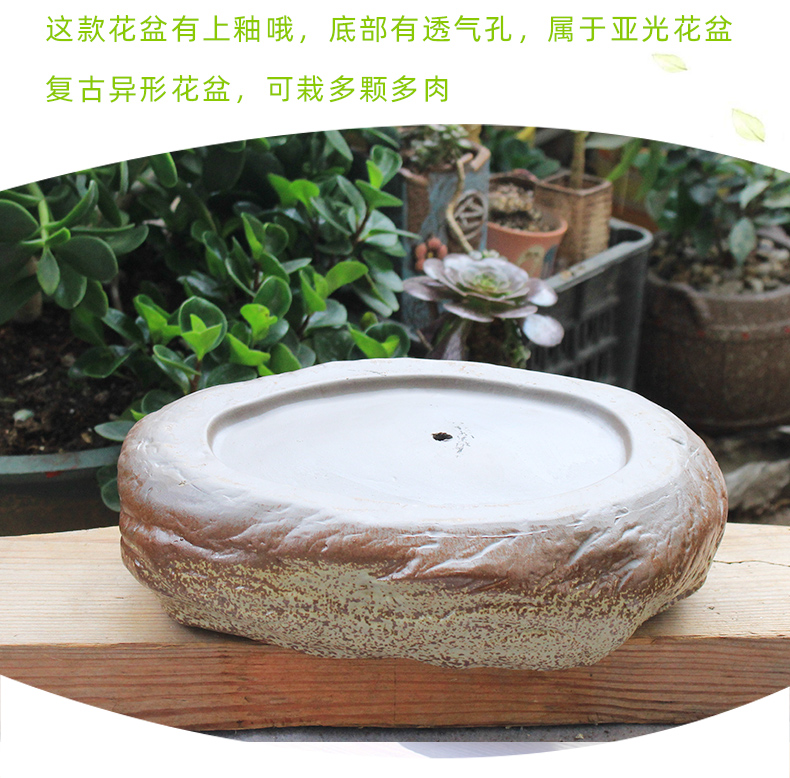 Ceramic flowerpot more meat large clearance contracted creative large - diameter meat meat platter combination of household imitation stone the plants