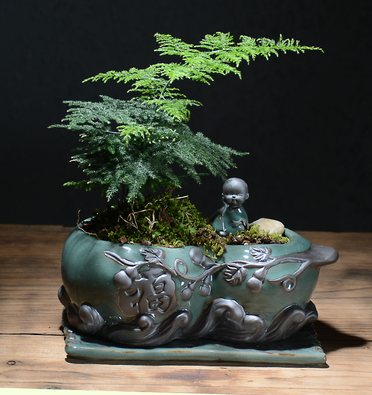 Elder brother up with fleshy coarse pottery flower POTS with pallets of large diameter meat meat the plants breathe freely in the big running of ceramic creative combination