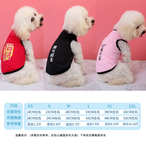 Летняя тонкая летняя одежда, жилет, шнурок-держатель, популярно в интернете