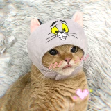 Pet Hat поставляет лимонный сперматогенез мешок, я кислый.