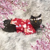 Japanese pet kitty supplies Shiba dog parent clothes spring and summer home chiffon coat kimono feather woven bathrobe