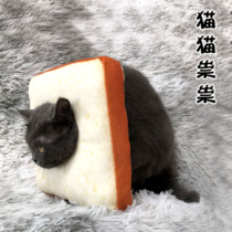 Pet supplies toast bread cat scarf soft Elizabeth ring shame ring love scarf photo props