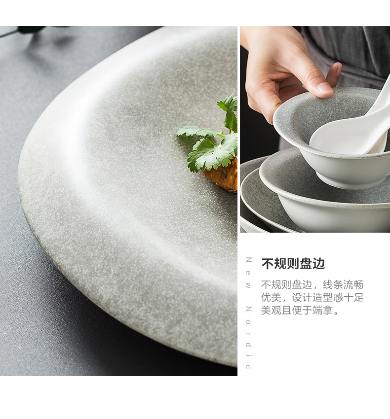 Japanese special dishes suit household ceramics tableware creative new move irregular hotel restaurant tableware