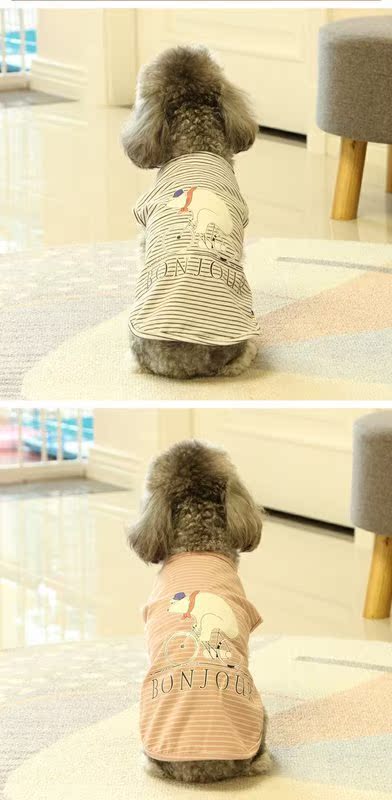 Quần áo cho chó mùa xuân và mùa hè dễ thương chú gấu bông nhỏ màu trắng áo vest chó mèo mỏng Trang phục chú chó Teddy - Quần áo & phụ kiện thú cưng quan ao thu cung