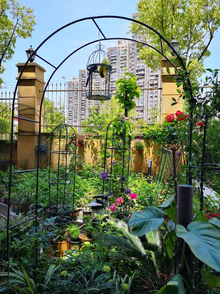 Courtyard Plant Arch Flower Shelf Iron Art Grape Citation Shelf Rosevy Climb Vine Shelf Lunar Season Silk Melon Vaulted Flower Bracket