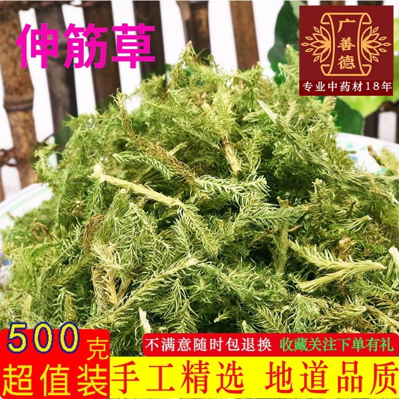 Stretch grass Chinese herbal medicine 500g New stock Shuten grass Horse-tailed raw fastgrass ribs Bones Grass Stone Pine Lions Grass-Taobao