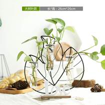 Ins Iron Geometric Flower Transparent Glass Hydroponic Dry Vase Living Room Flower Arrangement Home Decoration Ornament