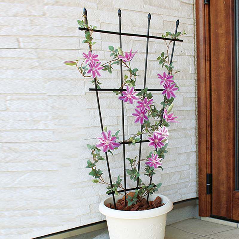 Flower stand clematis rose flower pot stand plant climbing frame gardening stand fan-shaped flower stand climbing rattan stand - Taobao