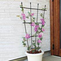 Flower rack clematis rose flower pot bracket plant climbing frame gardening bracket fan-shaped flower rack climbing rattan rack