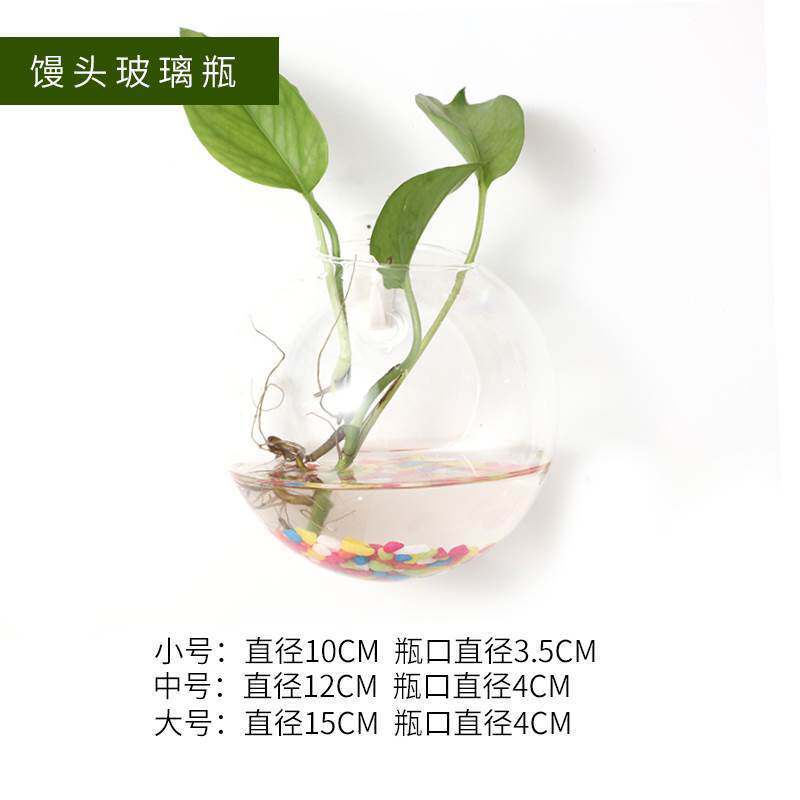 Living room floor hanging wall hydroponic glass vase wall hanging bottle decoration wall flower pot wall plant small pendant hanging clock