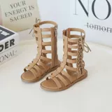 Лето -новая сплошная сторона на молнии на молнии