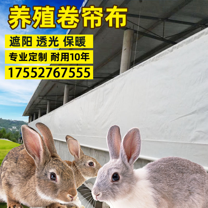 Rabbit house, rabbit farm, farm roll curtain cloth, thickened shed cloth, PE lifting canvas, heat preservation, light transmission, pvc, windproof and cold proof