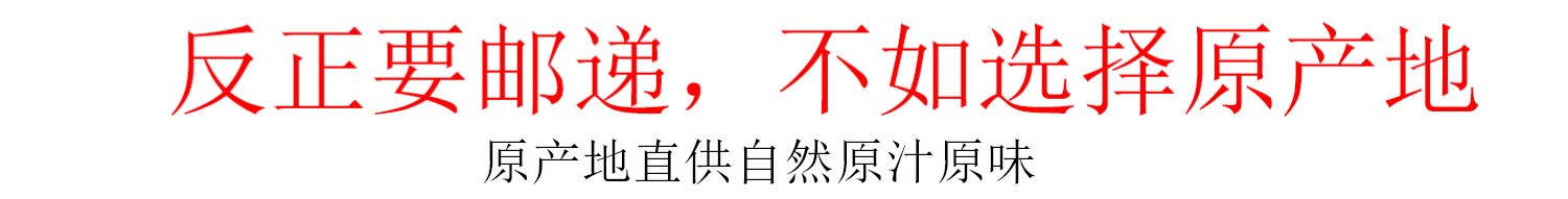 【御归】甘肃无硫党参500克g包邮大条