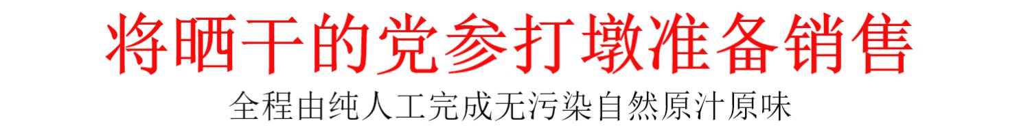 【御归】甘肃无硫党参500克g包邮大条