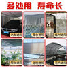 Aluminum Foil Sunshade Net, Encrypted and Thickeneded Sunscreen Net, Balcony Shade Net, Home Car Courtyard Outdoor Roof Shade Net