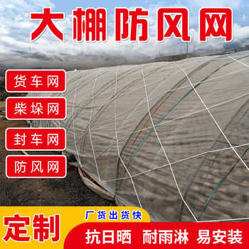 Greenhouse Windproof Net, Protective Net, Nylon Windproof Net, Breeding Net, Grass Cover, Large Hole Laminated Rope Net, Wind Blocking Net, Greenhouse Net