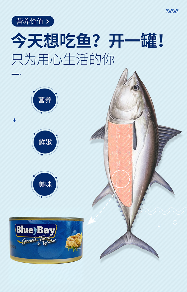 菲律宾进口 鲜得味Bluebay 水浸金枪鱼罐头 180g*10罐 图4