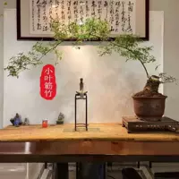 Купите одну бесплатную и одну большую кучу с почками и отправьте небольшие кучи.