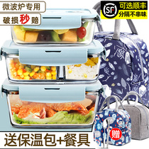 Glass lunch box microwave heating special bowl separated fresh-keeping home sealed storage bowl office workers with lunch