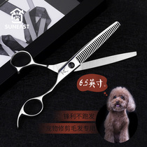 Pet Professional Beauty Tooth Cut with thin scissors teddy gold fur pooch swoon scissors haircut swoon thinner tool