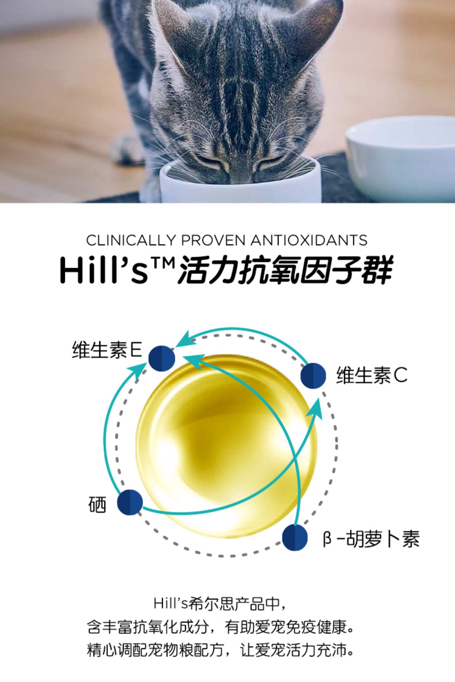 Hills Hills Old Cat Mỹ Gà nhập khẩu Mèo trưởng thành Thức ăn chính Sức sống của mèo Thức ăn 6 lbs / 2,72kg - Cat Staples hạt royal canin kitten