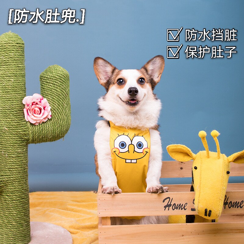 Pooch Belly Hood Kokie dog tummy Anti-cool clothes Autumn Winter Warm Summer Raincoat Pets Waterproof Puppy 