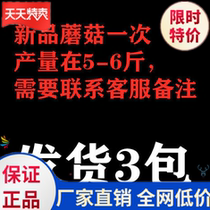 No Mushrooms covered) Family planting Mushroom Fungus Bag Edible Mushroom Stick Mushroom Cultivation Pack Edible Oyster Mushroom Strain