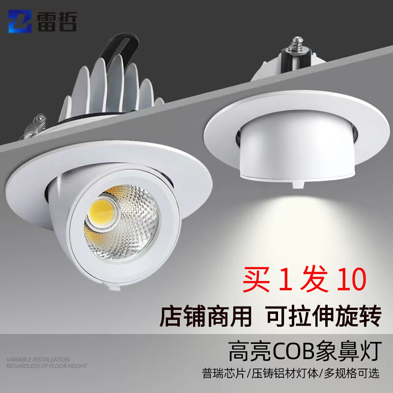 Nose-Lighting LED Embedded Adjustable Angle Clothing Shop Commercial Anti-glare Cob Downlight Ceiling Light