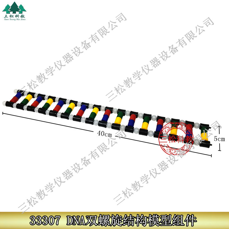33307 DNA双螺旋结构模型组件 生物实验 演示DNA组成 教学仪器