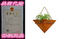 Jake and Mo Co Geometric Hanging Planter for Air Plants or