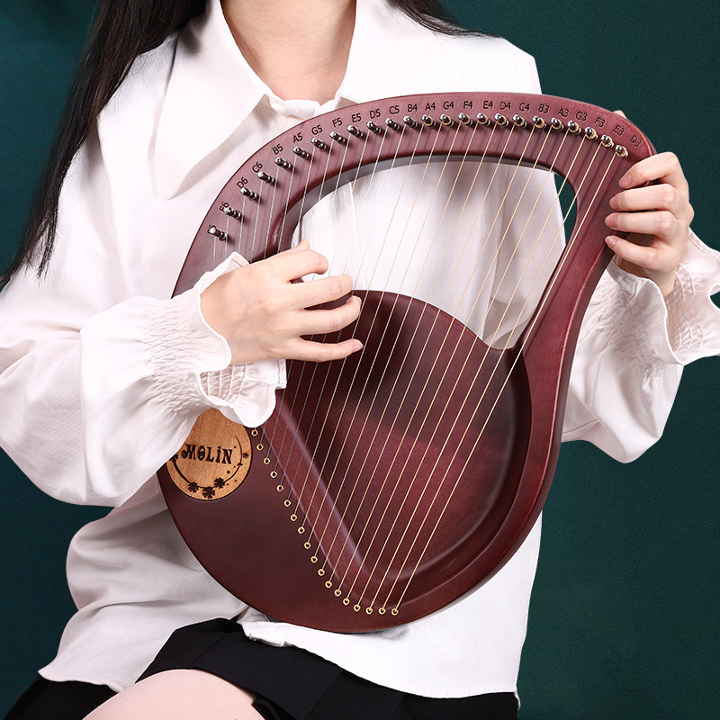 16 chord Raya piano mini xiao shu qin 24 tone harp niche instrument beginners to learn 21lyre li la qin 19