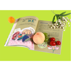 Детей науки 【正版书籍】我超喜欢的趣味科学书(珍藏版)--世界上最绿最绿的植物书