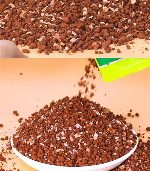 Dinh dưỡng Chim Tấm Đất sét cát đỏ Chim bồ câu Bồ câu Cung cấp Chim bồ câu Sức khỏe Shasha Chim bồ câu Canxi Cát cát Bột Bồ câu Thực phẩm - Chim & Chăm sóc chim Supplies lồng chim cu