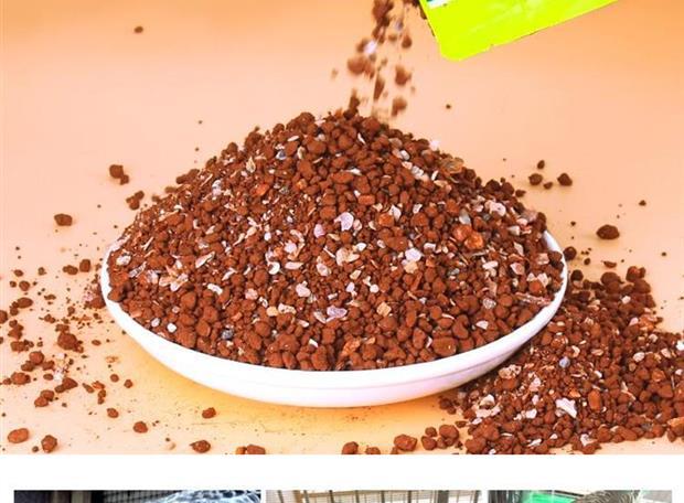 Cát đỏ đất sét cát chim bồ câu cát cát chim bồ câu cát thúc đẩy tiêu hóa chất lượng đua chim cung cấp túi cát chim bồ câu cát sức khỏe cát - Chim & Chăm sóc chim Supplies thức ăn cho bồ câu