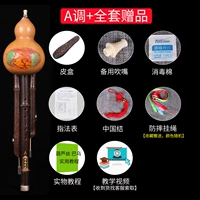 Тон+полный набор подарков