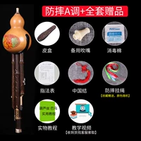 Anty -Rop Model A Регулировка+полный набор подарков