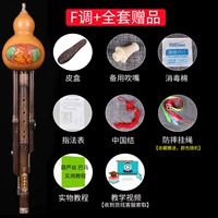 F мелодия+полный набор подарков