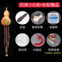 Anty -Drop Small D Turtle+стандартный подарок