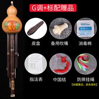 G Регулировка+стандартный подарок