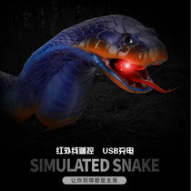Remote control toy snake tricky insect spoof whole person same Net red Cobra cockroach simulation electric animal toy