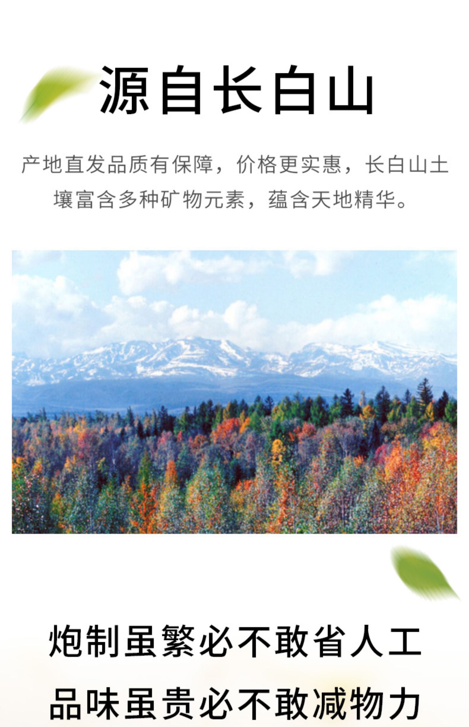 【北京同仁堂】西洋参切片24g