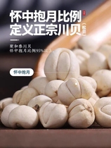 Fritillary Chinese medicinal materials Fritillary fritillary Wild Sichuan Fritillary Full Arm Holding Moon 50g